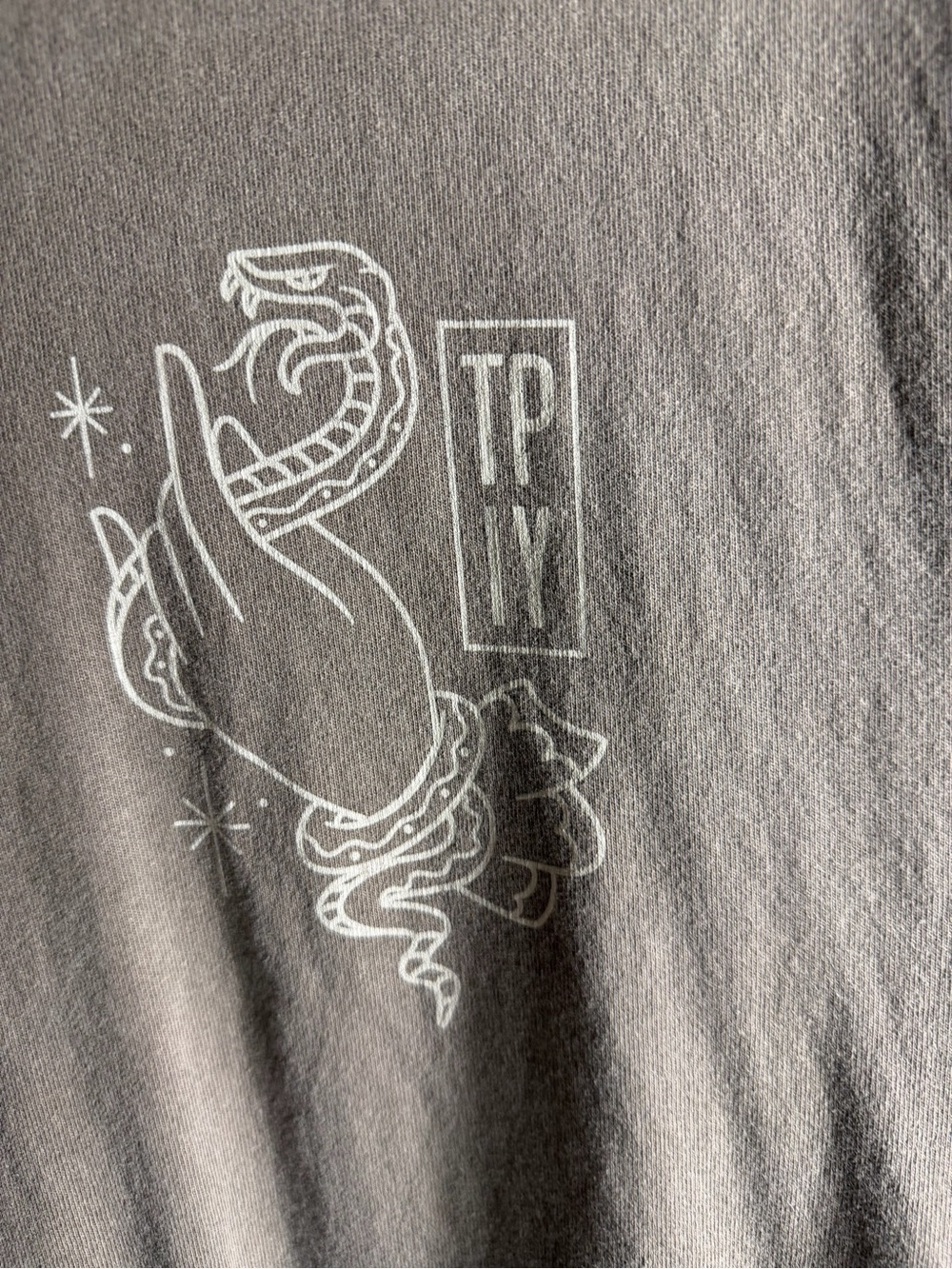 Men's Short-Sleeve Graphic Tee in Taupe - Picture 2 of 4